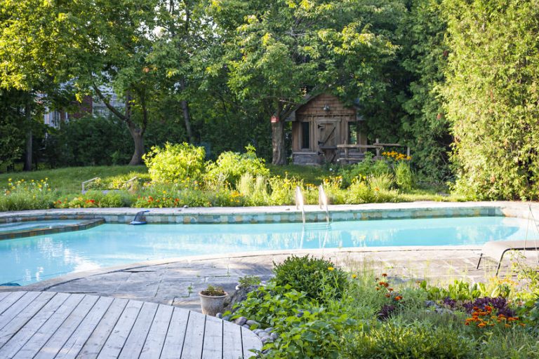 garden and swimming pool in backyard